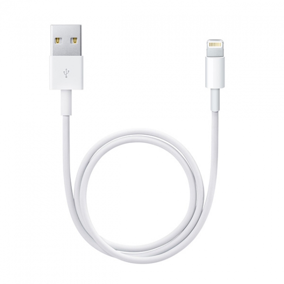  Apple Lightning To Usb Cable  0,5  ME291ZM/A