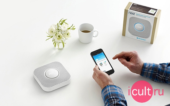 Nest Protect Smoke And Carbon Monoxide Battery