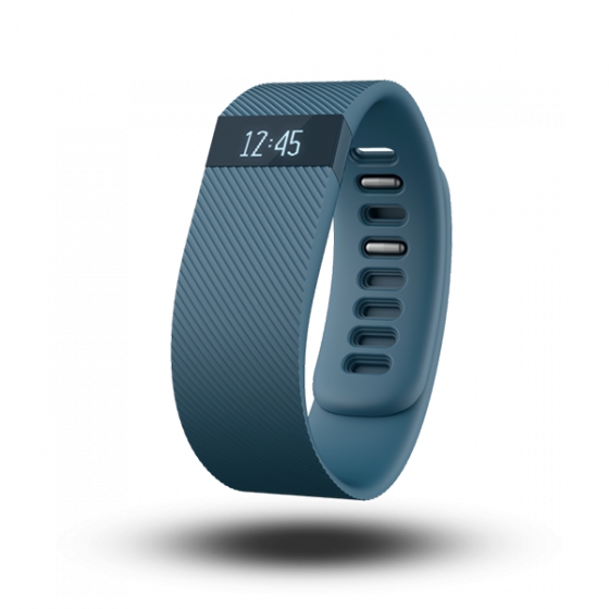   Fitbit Charge Large Slate -