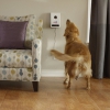 Wi-Fi камера наблюдения с выдачей корма Petzi Treat Cam для iOS/Android белая PET0025-USA Wi-Fi камера наблюдения с выдачей корма Petzi Treat Cam для iOS/Android белая PET0025-USA