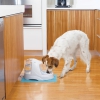 Устройство подачи очищенной воды PetSafe Drinkwell Platinum Pet Fountain для домашних животных серое Устройство подачи очищенной воды PetSafe Drinkwell Platinum Pet Fountain для домашних животных серое