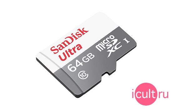 SanDisk SDSQUNB-064G-GN3MN