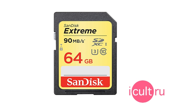 SanDisk SDSDXNE-064G-GNCIN