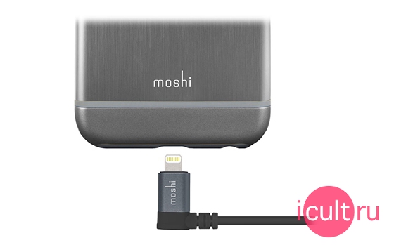 Moshi 99MO023043