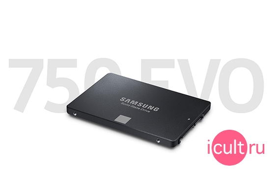Samsung 750 EVO 500GB
