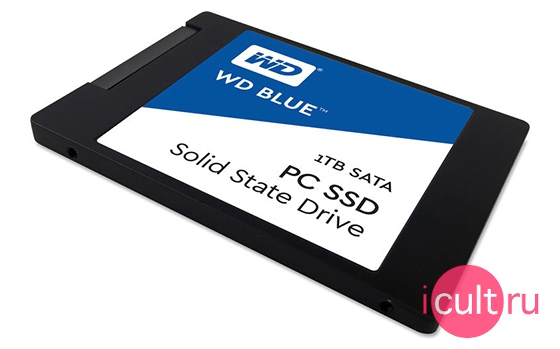 Western Digital Blue SSD 2.5