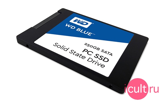 Western Digital Blue SSD 2.5 WDS250G1B0A