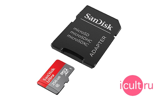 SanDisk SDSQUNI-256G-GN6MA