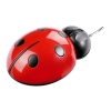 ������������ ���� ��� �� PAT SAYS NOW Ladybug