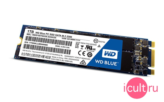 Western Digital Blue M.2 SATA III WDS100T1B0B