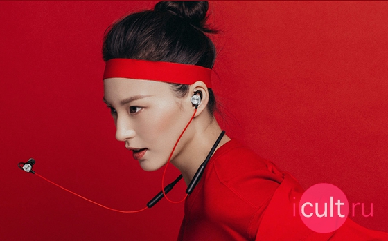Meizu Sports Bluetooth Earphones Grey