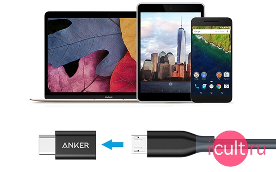 Anker USB-C to Micro USB Adapter