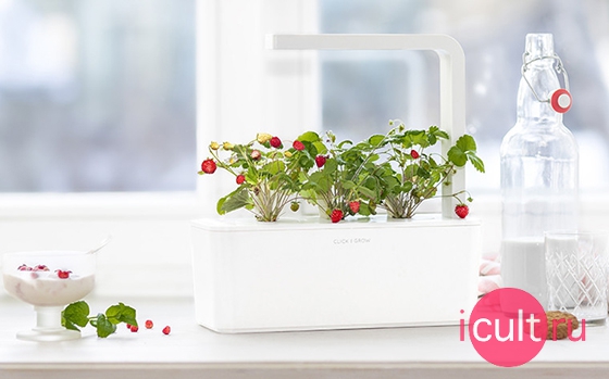   Click And Grow Smart Herb Garden  ( )