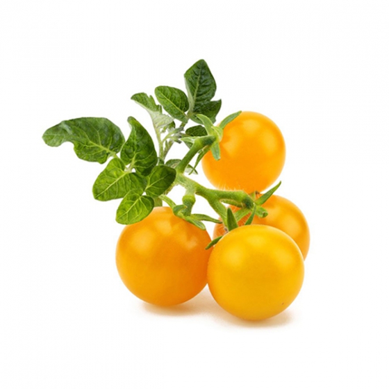   Click And Grow Yellow Mini Tomato Refill 3 .    Click And Grow  -