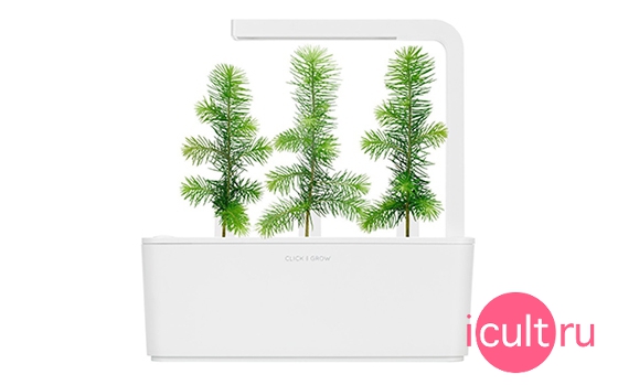 Click And Grow Spruce
