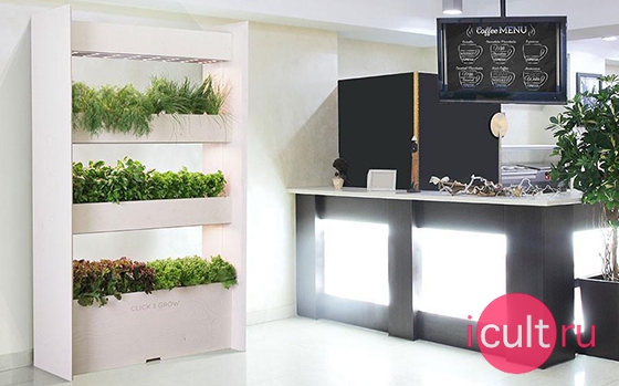 Click And Grow Wall Farm with Flower Kit