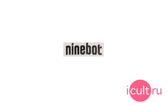   Ninebot Mini Pro