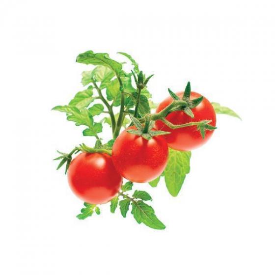   Click And Grow Mini Tomato 3 .    Click And Grow -