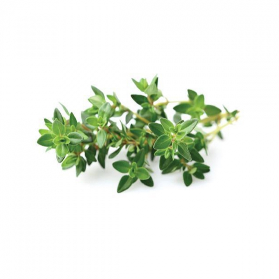   Click And Grow Thyme 3 .    Click And Grow 