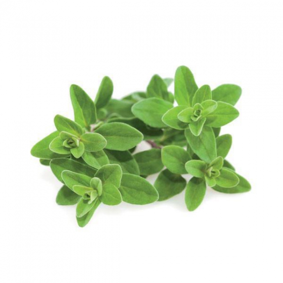   Click And Grow Marjoram 3 .    Click And Grow 