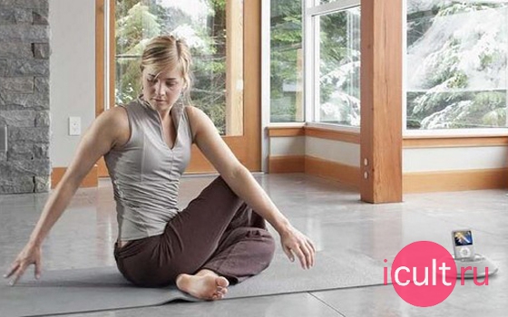    iPod  iPhone JBL ON STAGE MICRO II 