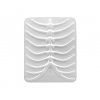 �������� ����� ��� iPad/iPad 2 SwitchEasy RibCage ����� SW-RCP-W