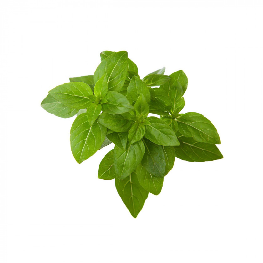   Click And Grow Dwarf Basil Plant Pods 3 .    Click And Grow  