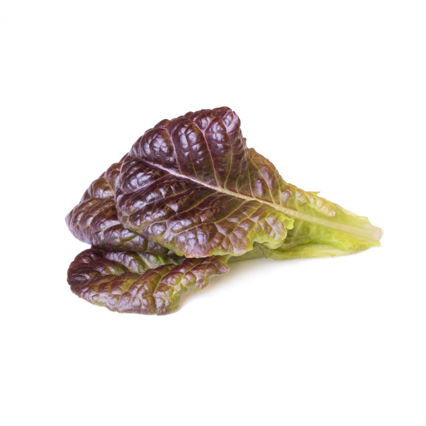   Click And Grow Red Lettuce Plant Pods 3 .    Click And Grow  