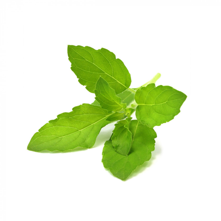   Click And Grow Holy Basil Plant Pods 3 .    Click And Grow   