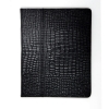 ����� �� ���� ���� Alexander ��� iPad 2 ������
