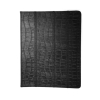 �����-������� �� ���� ��������� Alexander ��� iPad 2 ������