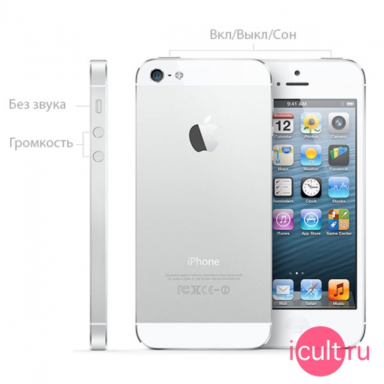 iPhone 5 White