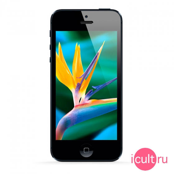 iPhone 5 