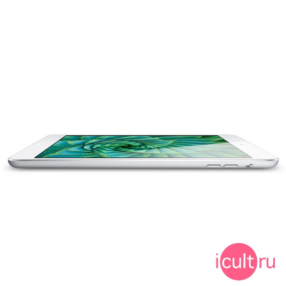 iPad mini 