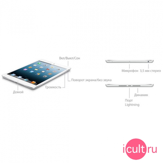 iPad mini Black
