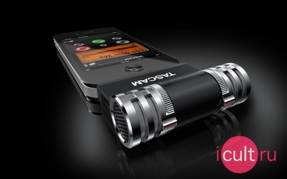 TASCAM iM2 Stereo Microphone
