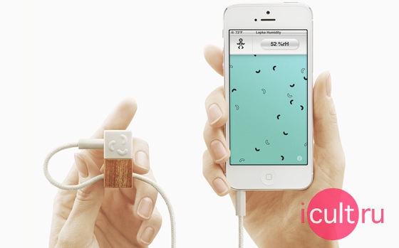 Lapka Personal Environment Monitor