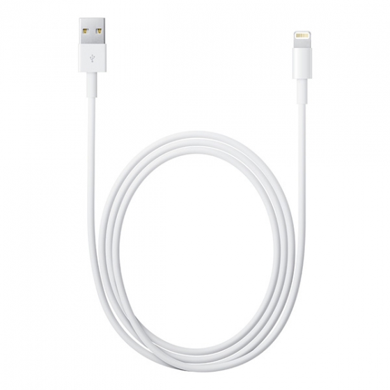  Apple Lightning To Usb Cable  2  MD819ZM/A