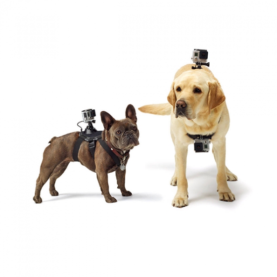    GoPro Fetch Dog Harness Black   GoPro  ADOGM-001