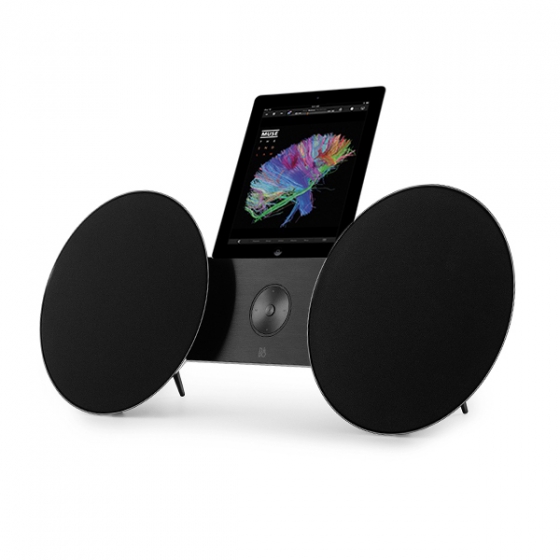   Bang &amp; Olufsen BeoPlay A8 AirPlay Lightning True Black 