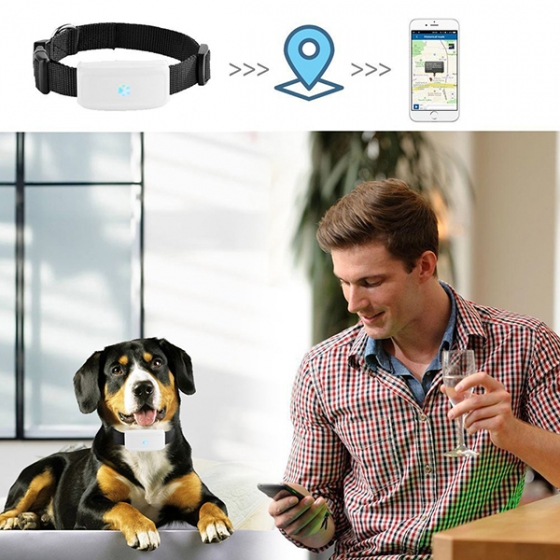 GPS-трекер для домашних животных TK STAR Mini GPS Tracker TK911 для iOS/Android устройств белый