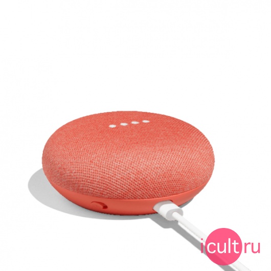 google home coral base