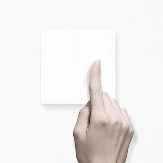    (  ) Xiaomi Aqara Smart Light Control Zigbee White  QBKG03LM