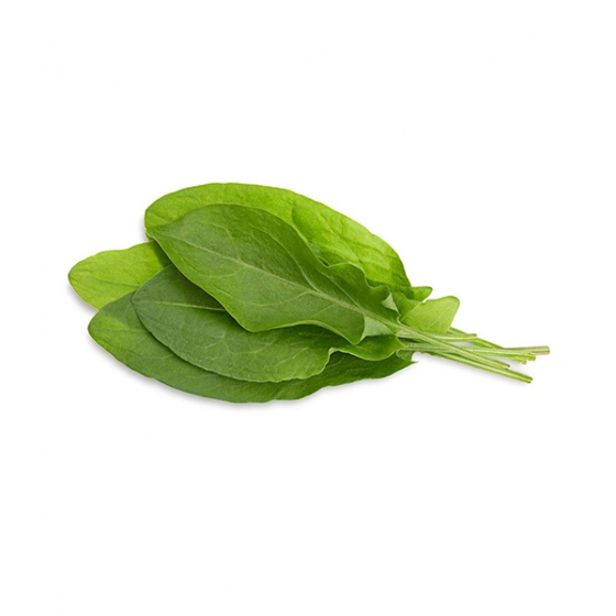   Click And Grow Green Sorrel Refill 3 .    Click And Grow 