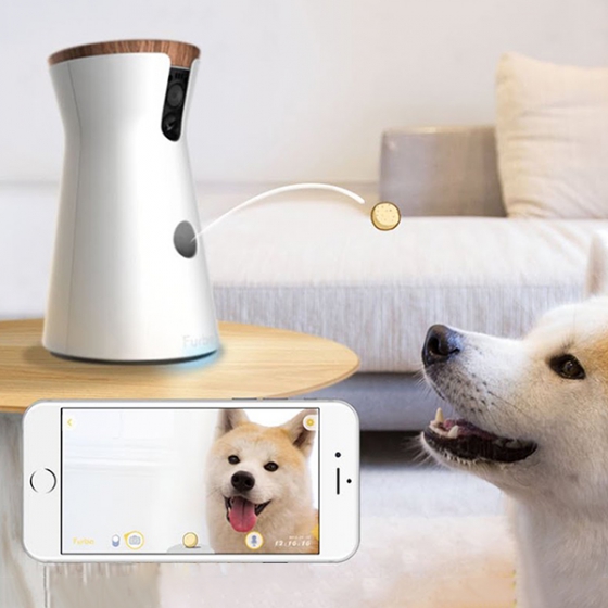 Wi-Fi камера наблюдения с выдачей корма Furbo Dog Camera белая 001-01WHTOA-1