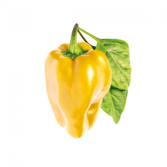   Click And Grow Yellow Sweet Pepper 3 .    Click And Grow   