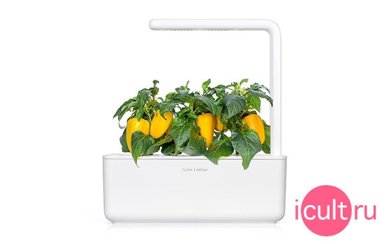 Click And Grow Yellow Sweet Pepper