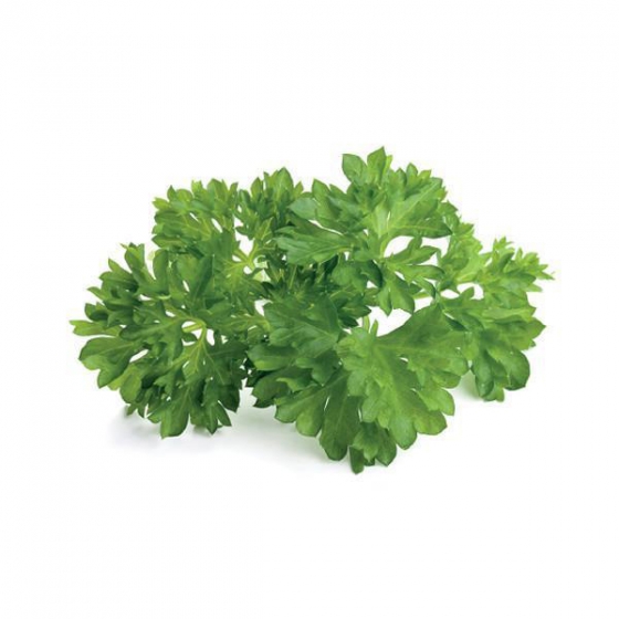   Click And Grow Curly Parsley 3 .    Click And Grow 