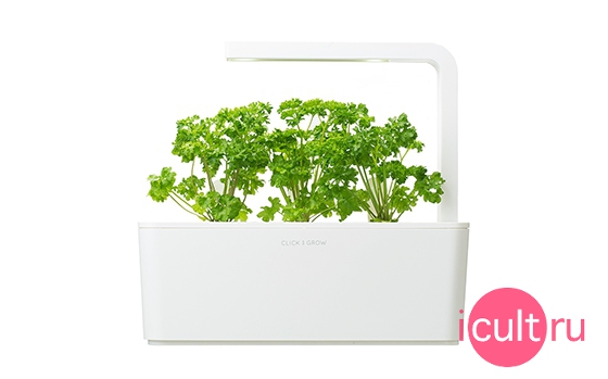 Click And Grow Parsley