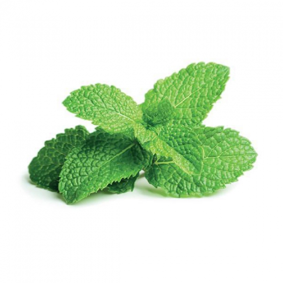   Click And Grow Peppermint 3 .    Click And Grow 